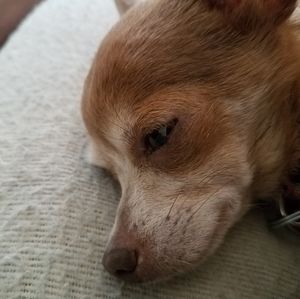 Meet your Posher, Aaron